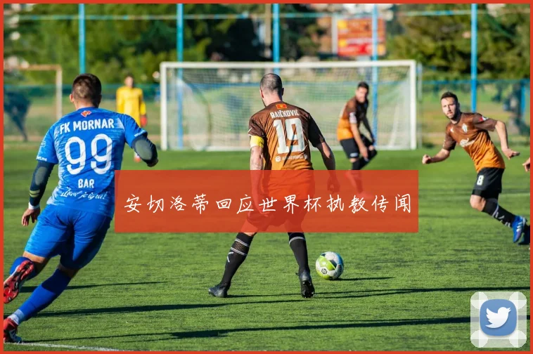 安切洛蒂回应世界杯执教传闻