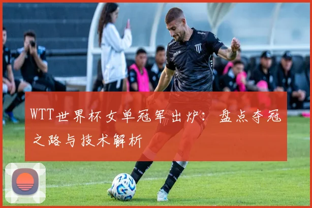 WTT世界杯女单冠军出炉:盘点夺冠之路与技术解析