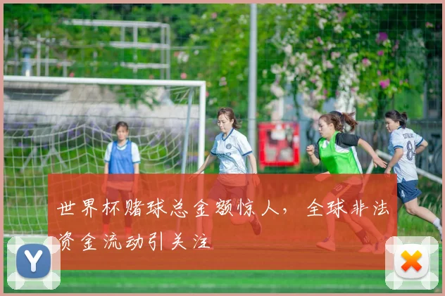 世界杯赌球总金额惊人,全球非法资金流动引关注