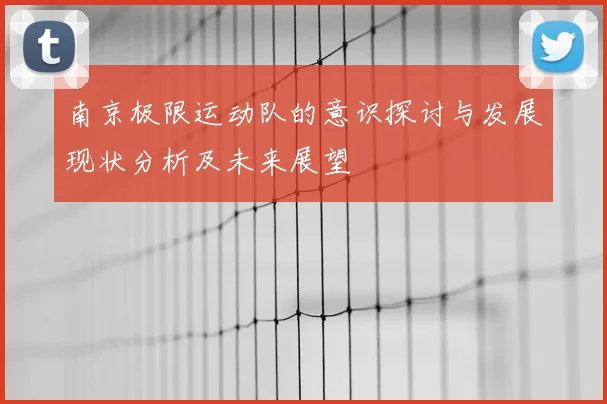南京极限运动队的意识探讨与发展现状分析及未来展望
