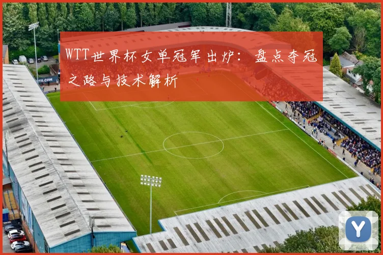 WTT世界杯女单冠军出炉：盘点夺冠之路与技术解析