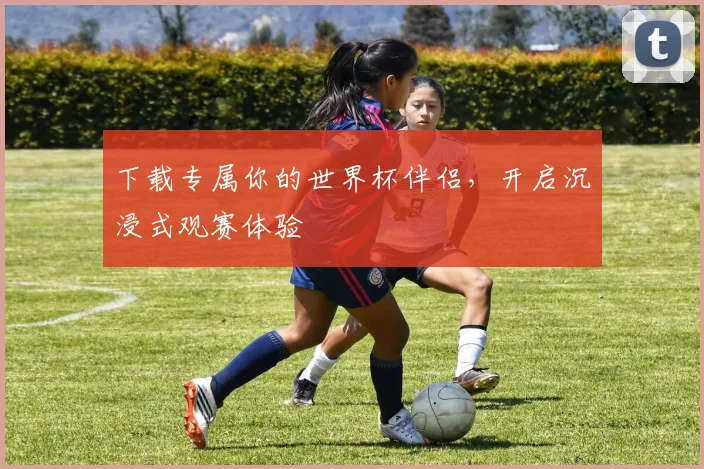 下载专属你的世界杯伴侣，开启沉浸式观赛体验