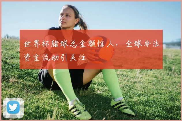 世界杯赌球总金额惊人,全球非法资金流动引关注