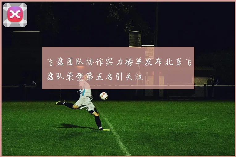 飞盘团队协作实力榜单发布北京飞盘队荣登第五名引关注