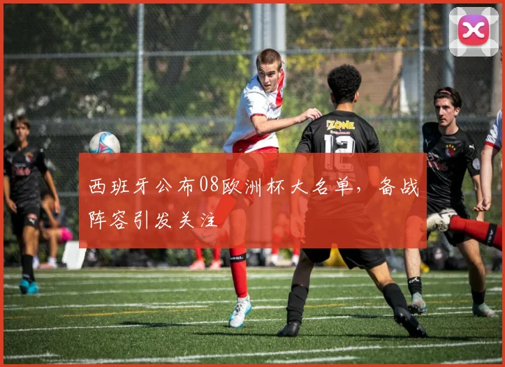 西班牙公布08欧洲杯大名单,备战阵容引发关注