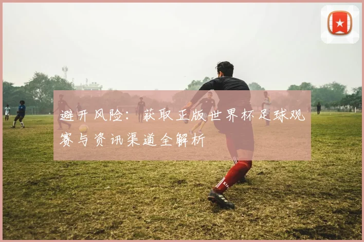 避开风险：获取正版世界杯足球观赛与资讯渠道全解析