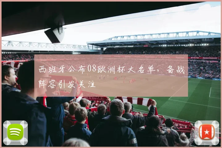 西班牙公布08欧洲杯大名单,备战阵容引发关注